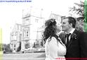 _SPA5398 copy